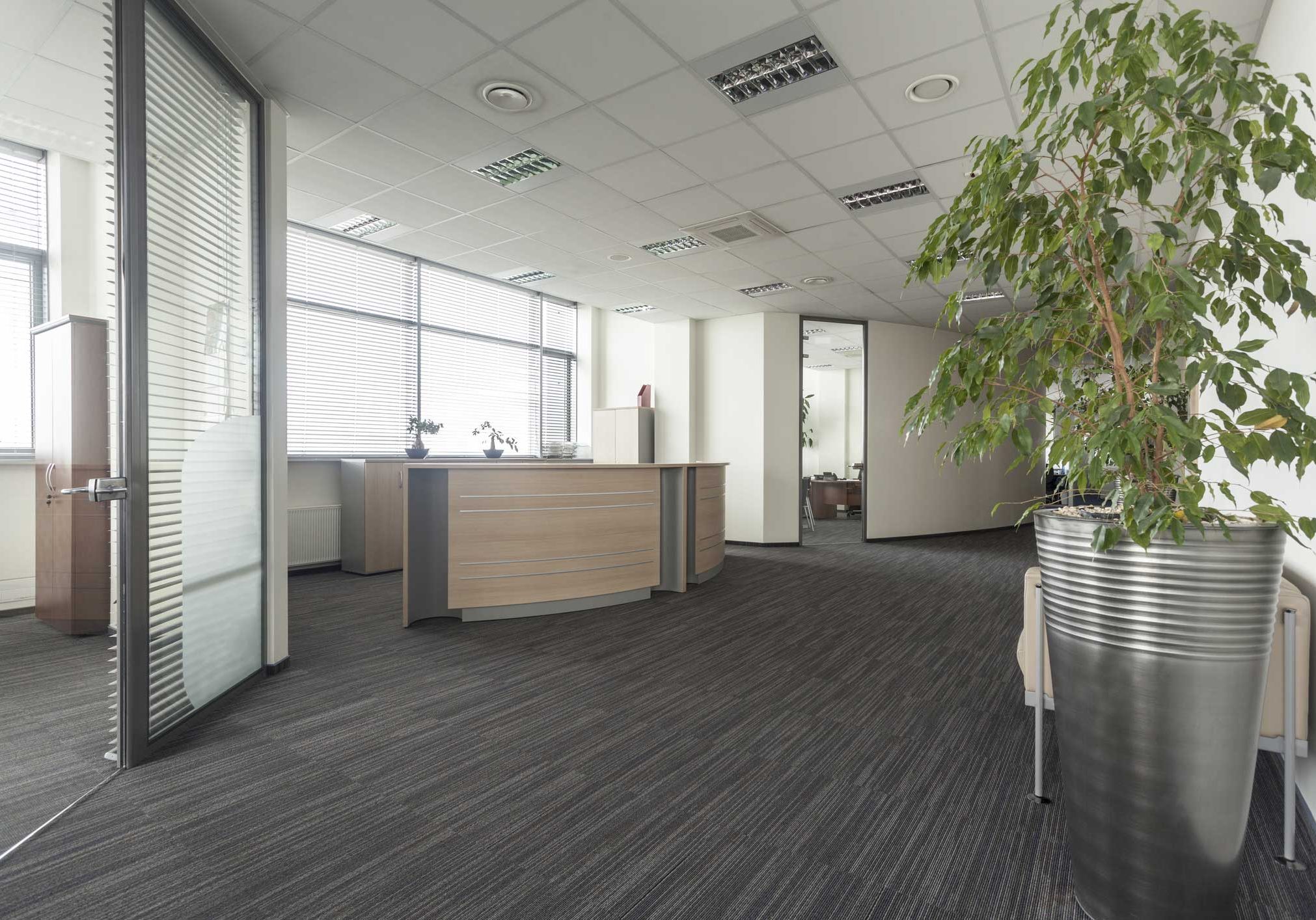 Office Fit Outs