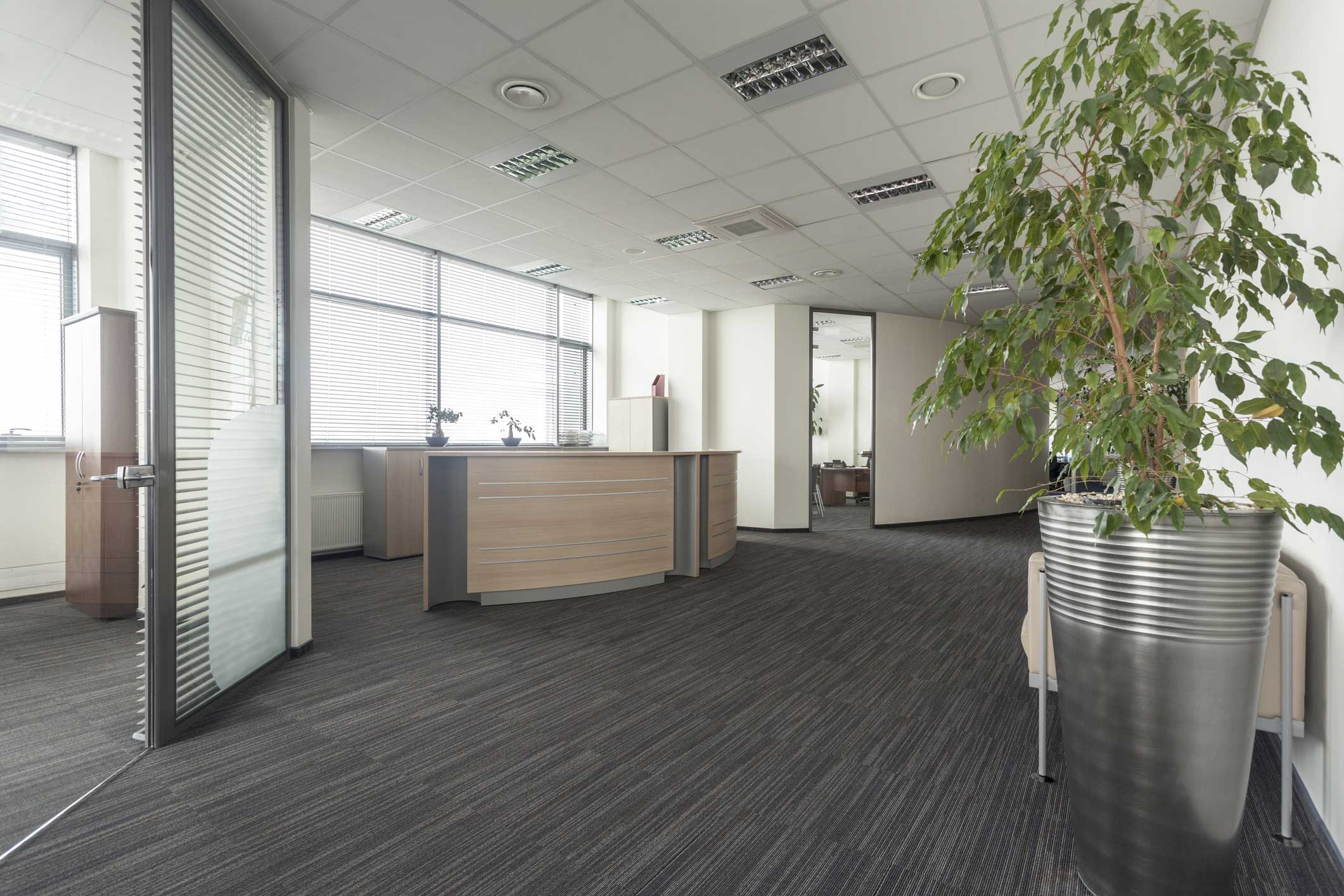 Office Fit Outs